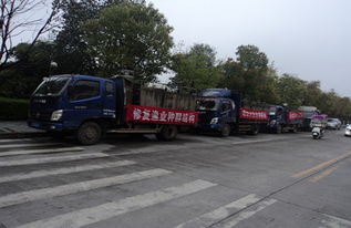 漁業(yè)增殖促生態(tài)，畜牧水產譜新篇——江西修水縣開展資源放流活動助力產業(yè)發(fā)展